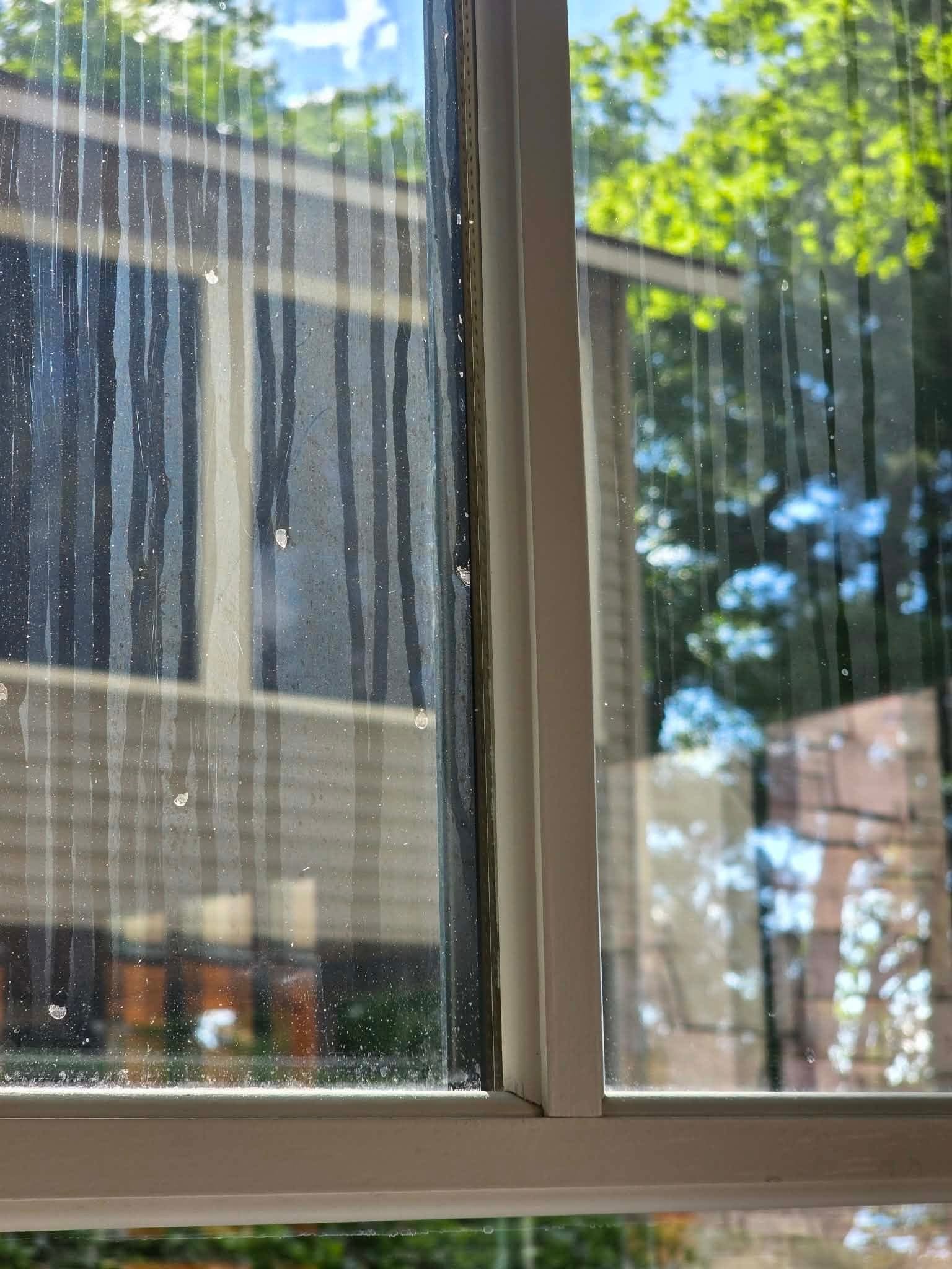 IMG_8625